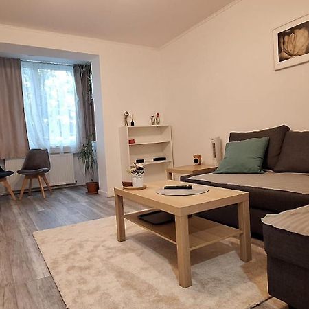 Enci House Apartment Тыргу-Муреш Экстерьер фото