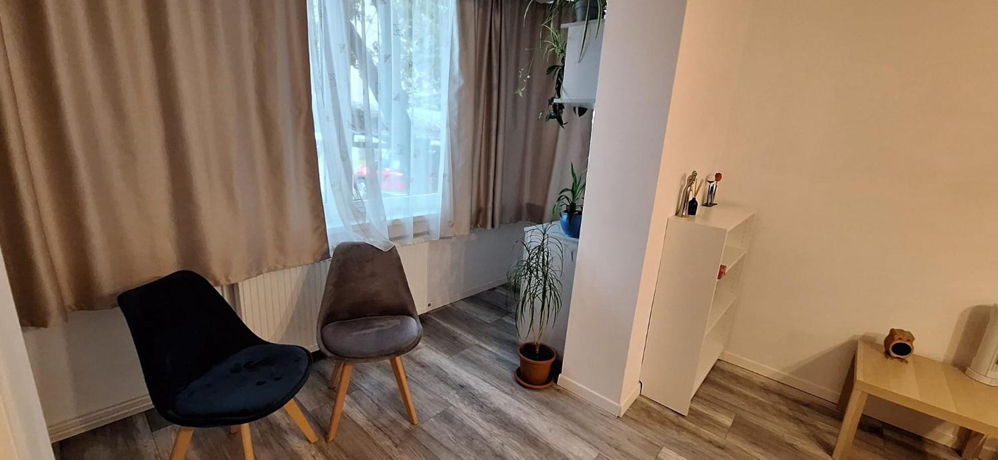 Enci House Apartment Тыргу-Муреш Экстерьер фото